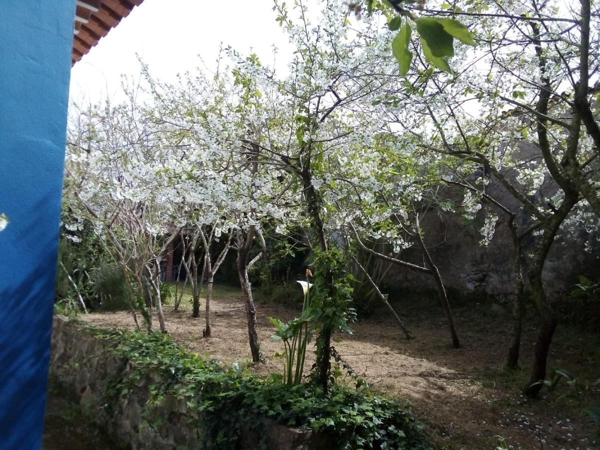 Casas Altas Obidos - Al Villa Sobral  ภายนอก รูปภาพ
