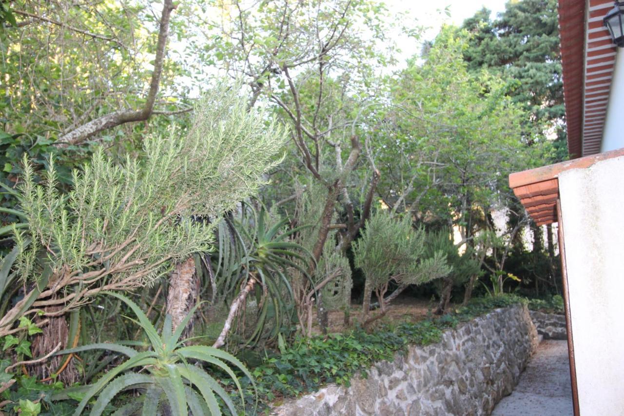 Casas Altas Obidos - Al Villa Sobral  ภายนอก รูปภาพ